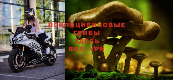 apvp Лихославль