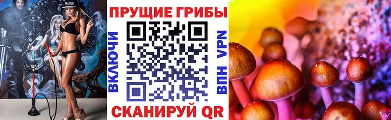 Псилоцибиновые грибы GOLDEN TEACHER  Приволжский 